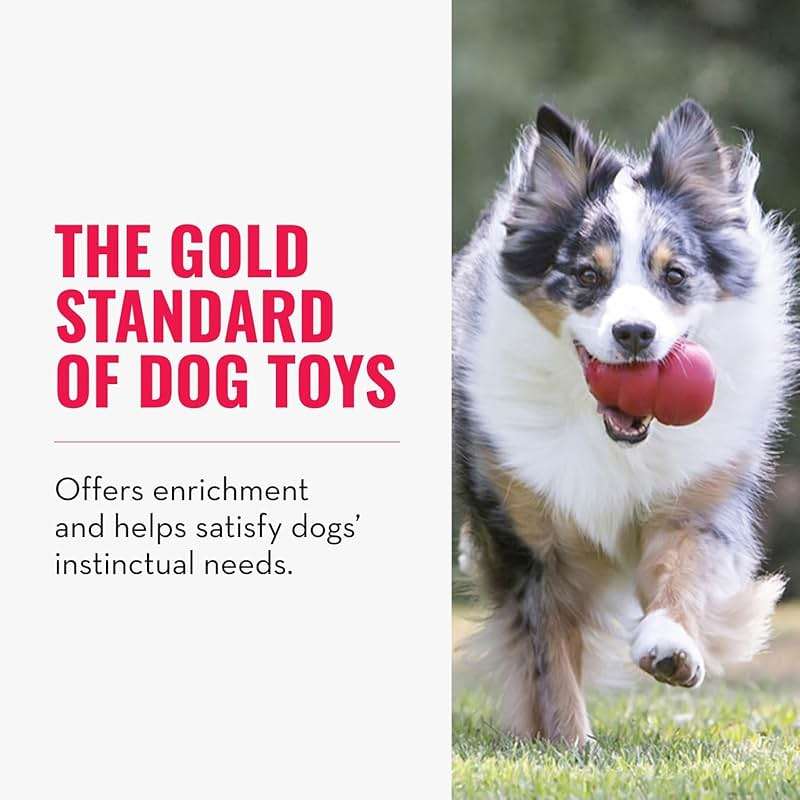 KONG Classic Stuffable Dog Toy - Fetch & Chew Toy for Dogs - Treat-Filling Capabilities & Erratic Bounce for Extended Play Time - Durable Natural Rubber Material - for Medium Dogs - Image 3