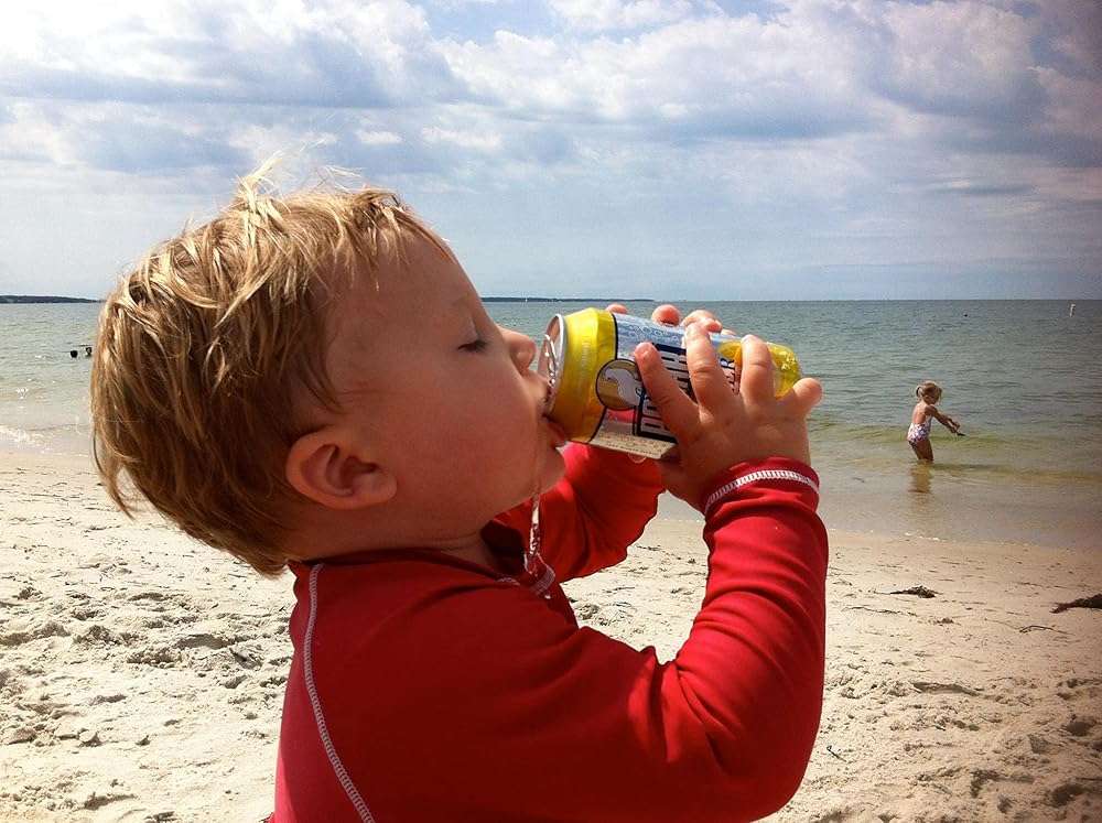 Polar Beverages All Flavor Variety Pack | Carbonated Flavored Sparkling Water, 12 Fl Oz Cans, Natural Flavors | Pack of 15 - Image 5