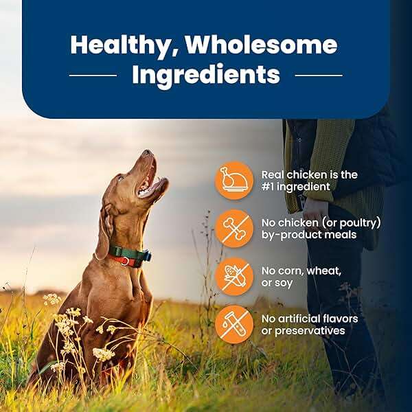 Blue Buffalo Life Protection Formula Large Breed Adult Dry Dog Food, Promotes Joint Health and Lean Muscles, Made with Natural Ingredients, Chicken & Brown Rice Recipe, 30-lb Bag - Image 6