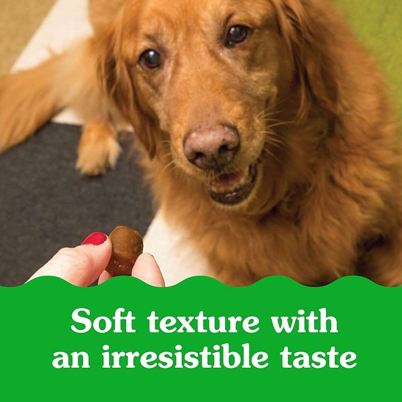 Greenies Pill Pockets for Dogs Large Size, Dog Treat Pouch for Capsule Medication, Peanut Butter Flavor, 15.8 oz. Pouch - Image 12